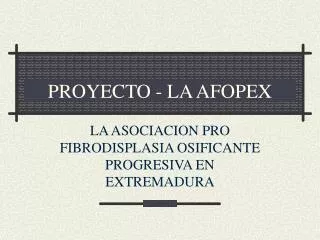 proyecto la afopex