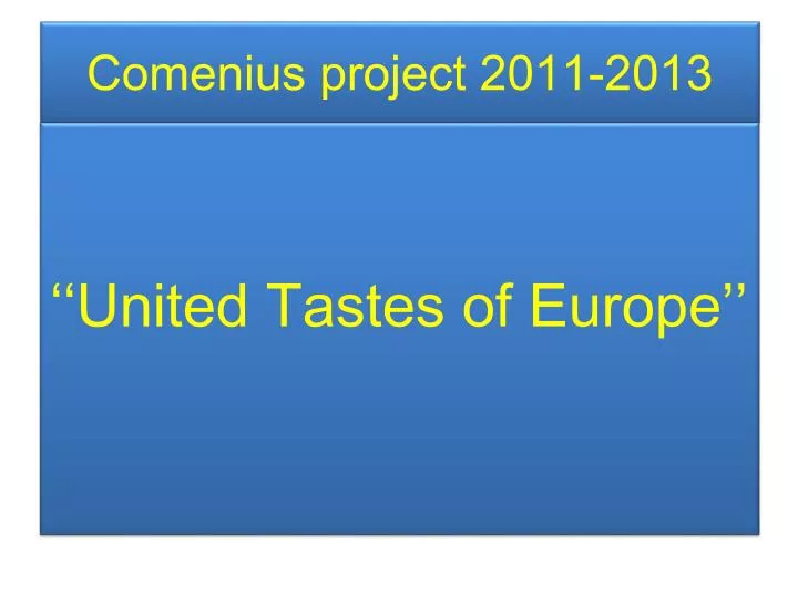 comenius project 2011 2013