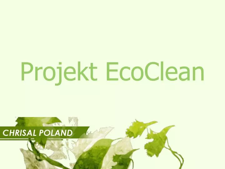 projekt ecoclean