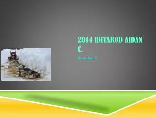 2014 Iditarod Aidan C.