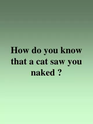 how do you know that a cat saw you naked