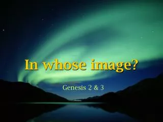 In whose image?