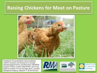 Raising Chickens for Meat on Pasture