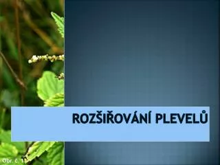 roz i ov n plevel