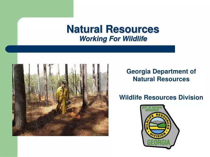 georgia department of natural resources wildlife resources division