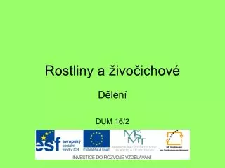 rostliny a ivo ichov