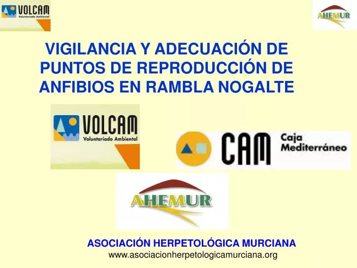 vigilancia y adecuaci n de puntos de reproducci n de anfibios en rambla nogalte