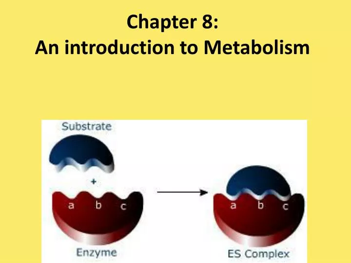 chapter 8 an introduction to metabolism