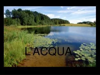 l acqua