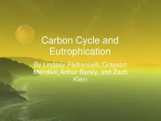 Carbon Cycle and Eutrophication