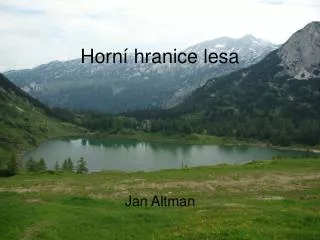 horn hranice lesa