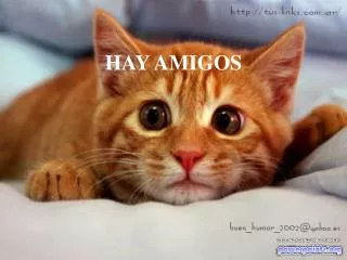 hay amigos
