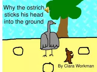Why the ostrich sticks his head into the ground