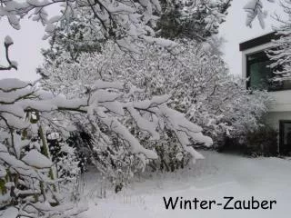 Winter-Zauber