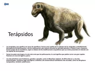 ter psidos