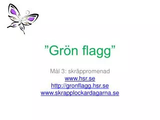 gr n flagg