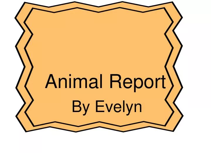 animal report