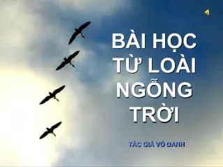 b i h c t lo i ng ng tr i