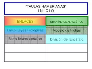 taulas hamerianas i n i c i o