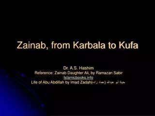 Zainab, from Karbala to Kufa