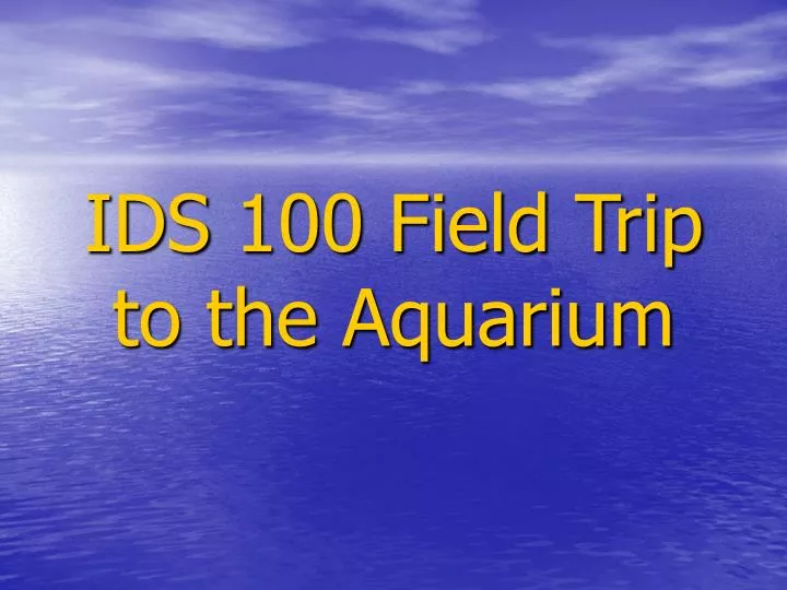 ids 100 field trip to the aquarium