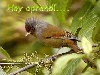 hoy aprend