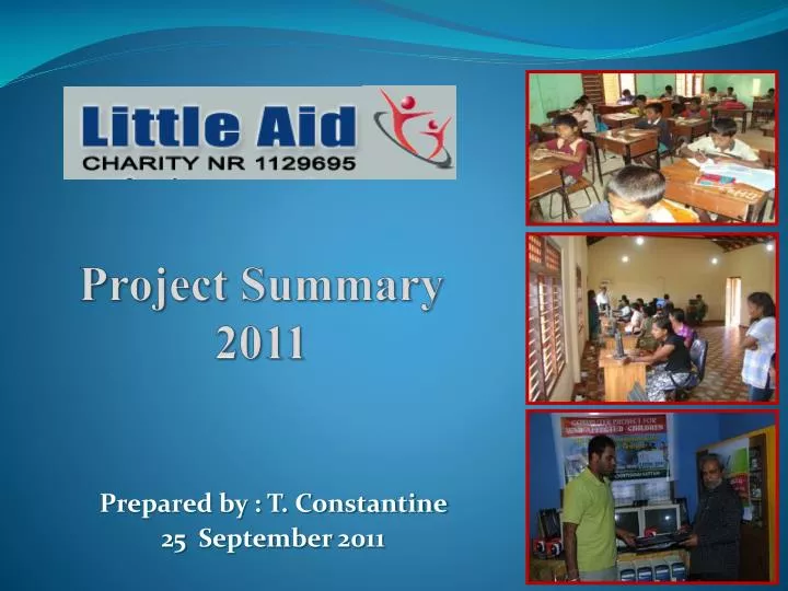 project summary 2011