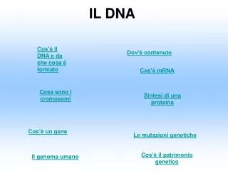 il dna