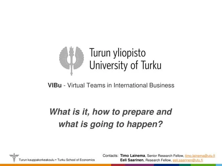 vibu virtual teams in international business