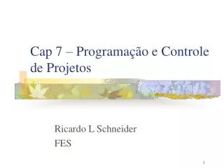 cap 7 programa o e controle de projetos