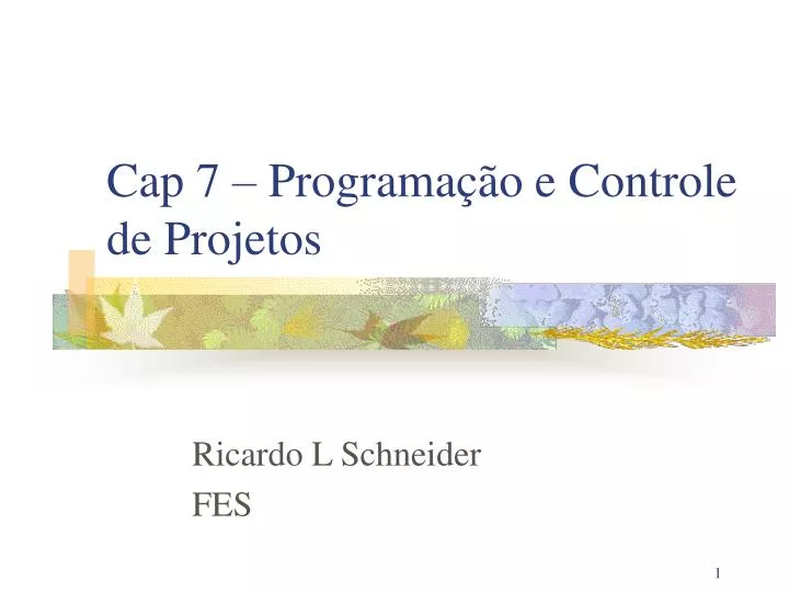cap 7 programa o e controle de projetos