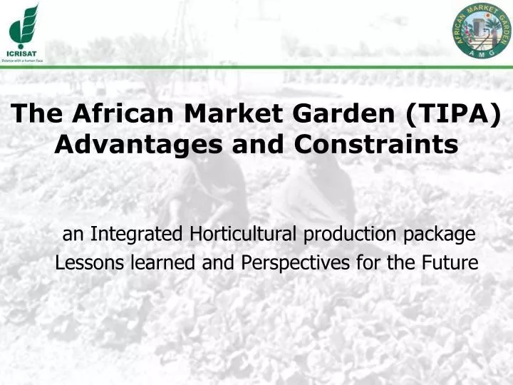the african market garden tipa advantages and constraints