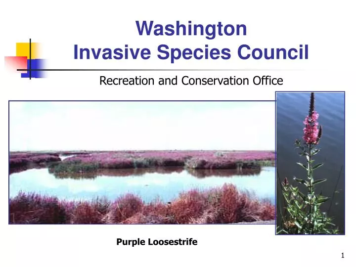 washington invasive species council