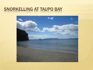 Snorkelling At taupo bay