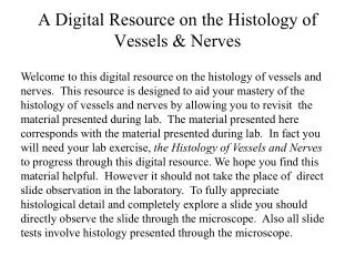 A Digital Resource on the Histology of Vessels &amp; Nerves