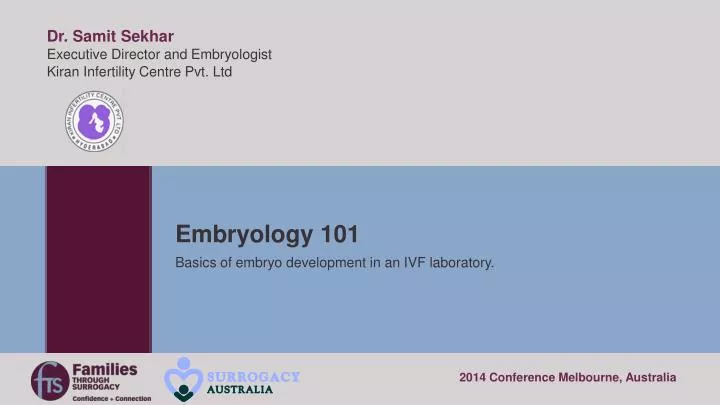 embryology 101