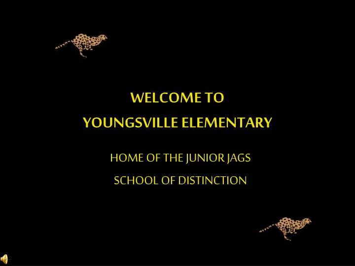 welcome to youngsville elementary