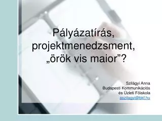 p ly zat r s projektmenedzsment r k vis maior