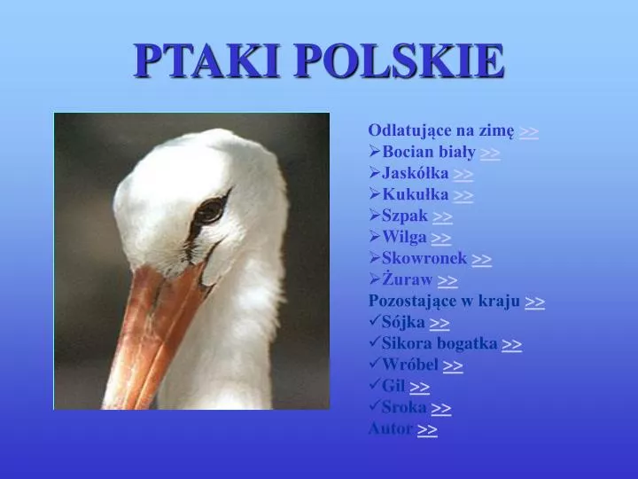 ptaki polskie