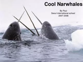 Cool Narwhales By Paul Seoul international school 2007-2008