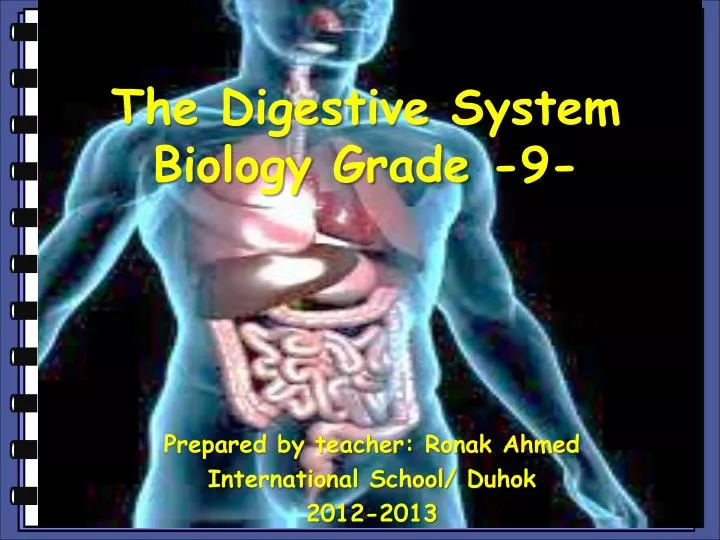 the digestive system biology grade 9