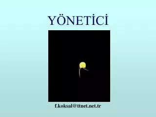 y net c