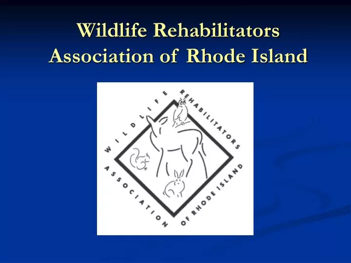 wildlife rehabilitators association of rhode island