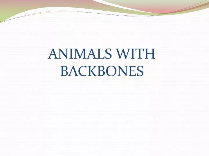 animals with backbones