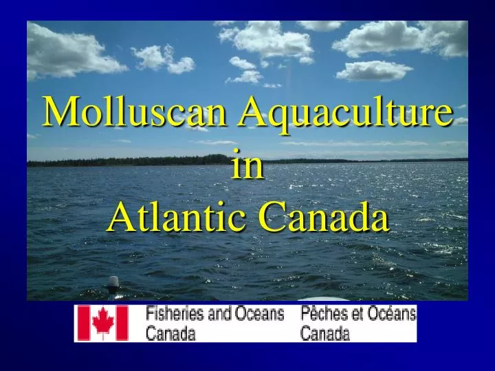 molluscan aquaculture in atlantic canada