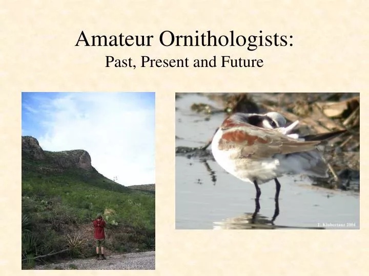 amateur ornithologists past present and future
