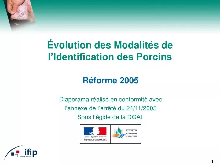 volution des modalit s de l identification des porcins