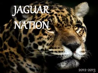 JAGUAR NATION