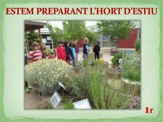 estem preparant l hort d estiu