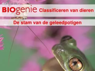 classificeren van dieren